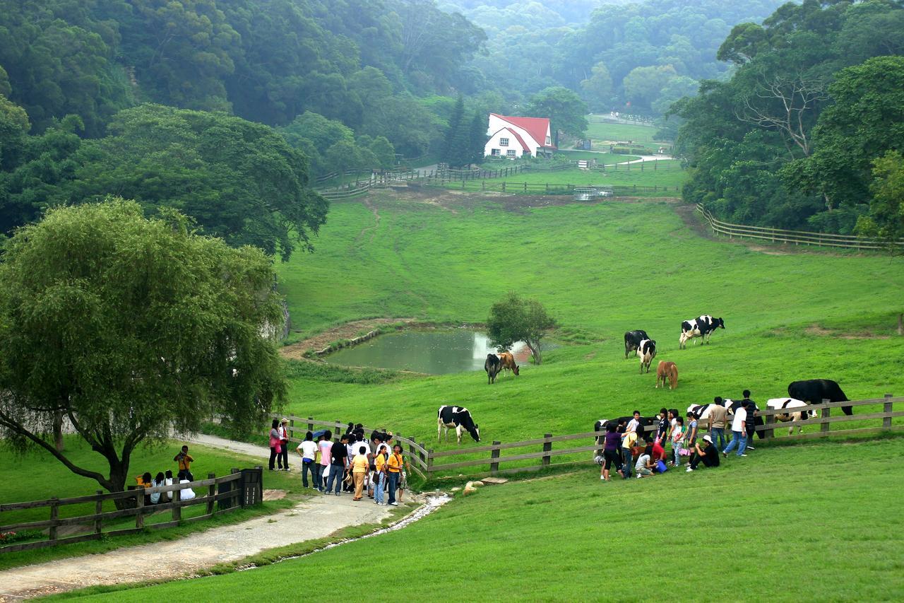 Flying Cow Ranch Hotel Tongxiao Exterior foto